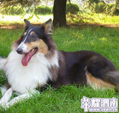 �����蹫��