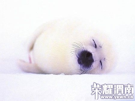 p_large_U03p_77ec0003d03d5c3f.jpg