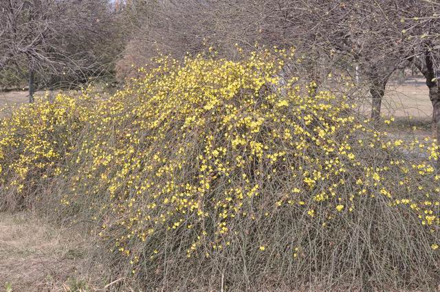 ������С DSC_0543.JPG