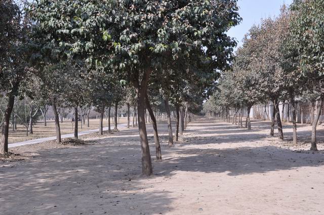 ������С DSC_0541.JPG