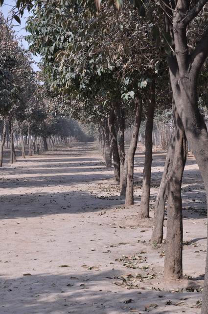 ������С DSC_0540.JPG