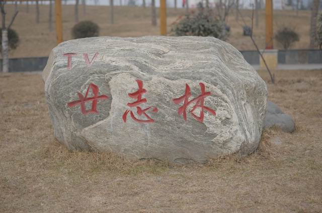 ������С DSC_0106.JPG