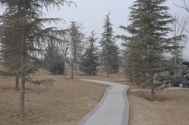 ������С DSC_0105.JPG