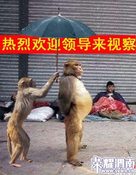 ���һ�ӭ�쵼���Ӳ�.jpg