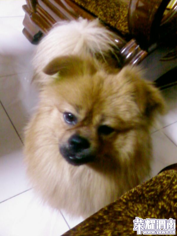 ��ת 20100429.jpg