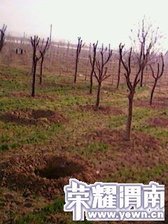 IMG0234A.jpg