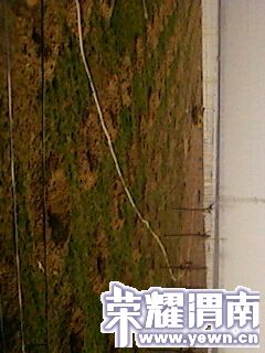 IMG0236A.jpg