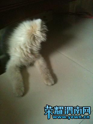��Ƭ 041.jpg