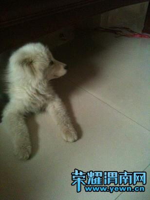 ��Ƭ 042.jpg