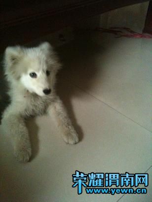 ��Ƭ 043.jpg