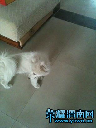 ��Ƭ 044.jpg