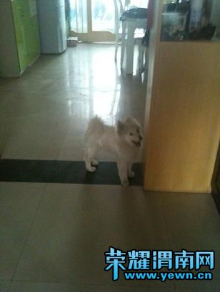 ��Ƭ 045.jpg