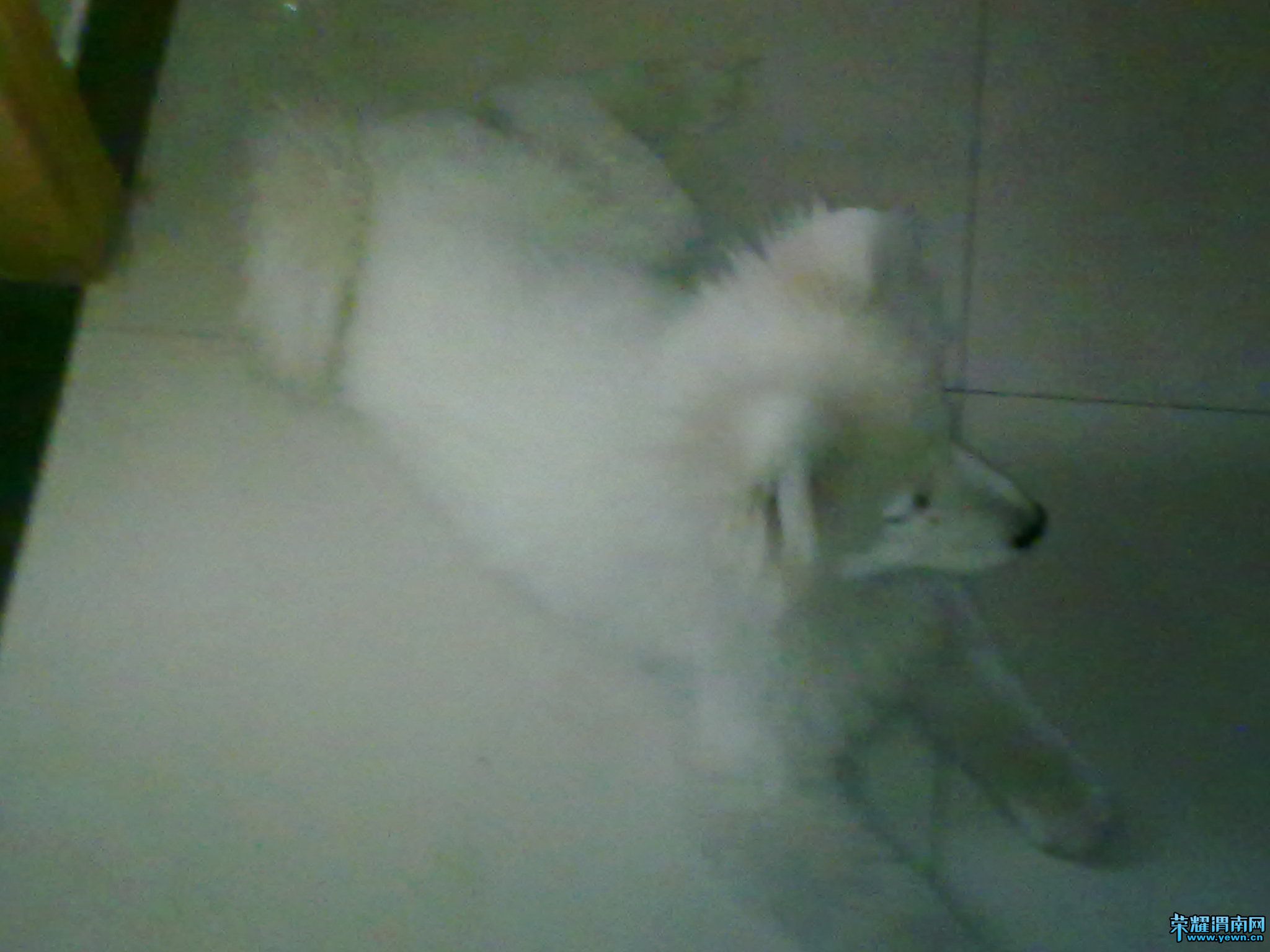 ��Ƭ 018.jpg