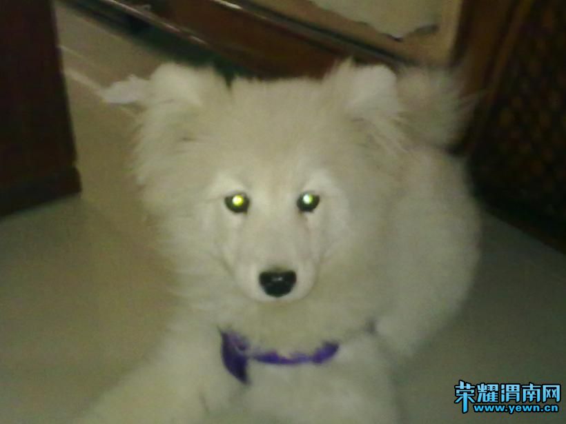 ��Ƭ 023.jpg