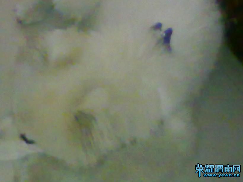 ��Ƭ 025.jpg