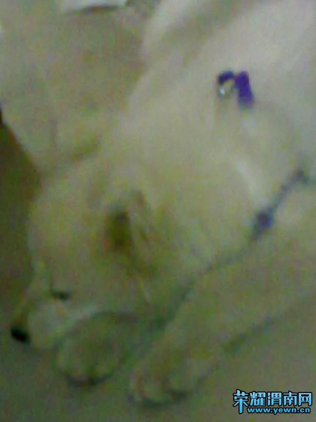 ��Ƭ 026.jpg