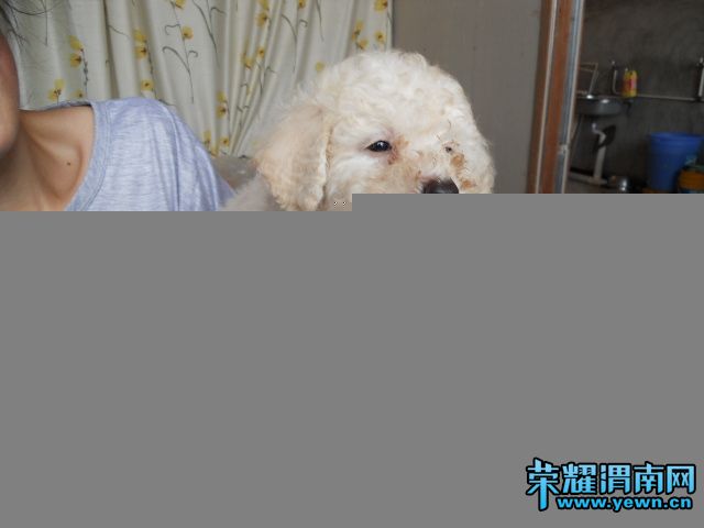 DSCN0254.JPG