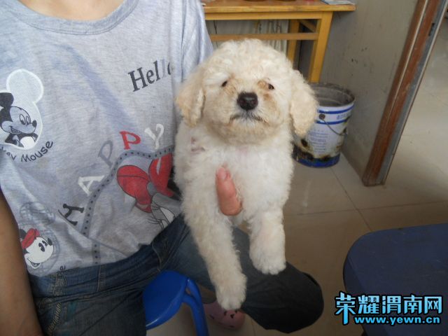 DSCN0256.JPG