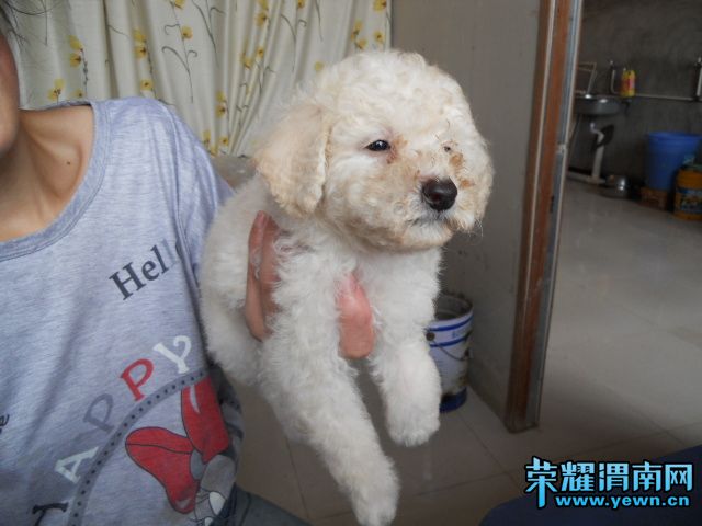 DSCN0254.JPG