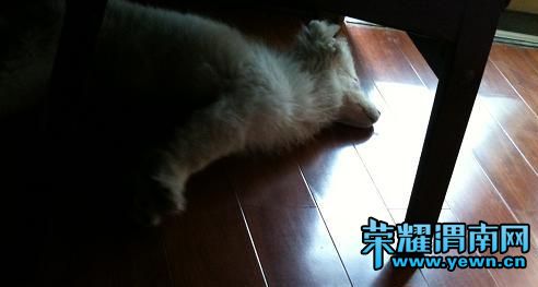 ��Ƭ 009.jpg