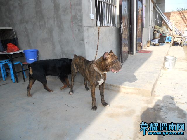 DSCN0426.JPG