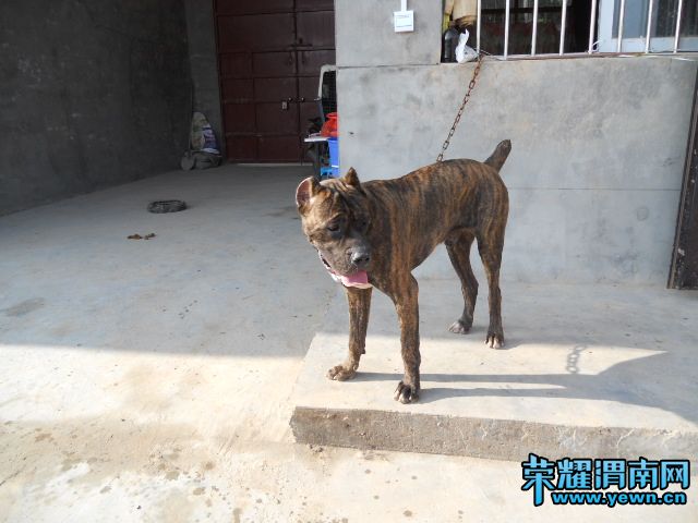 DSCN0418.JPG