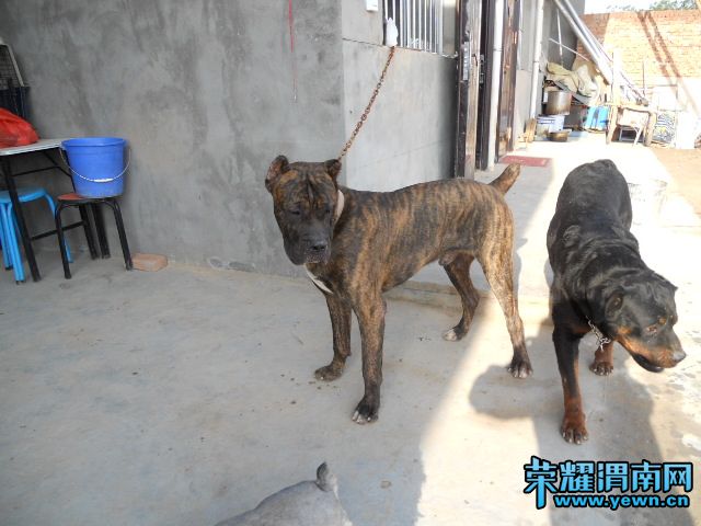 DSCN0422.JPG