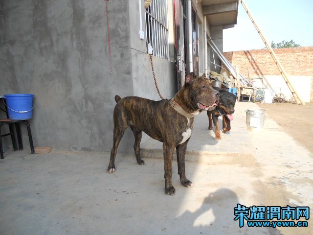 DSCN0425.JPG