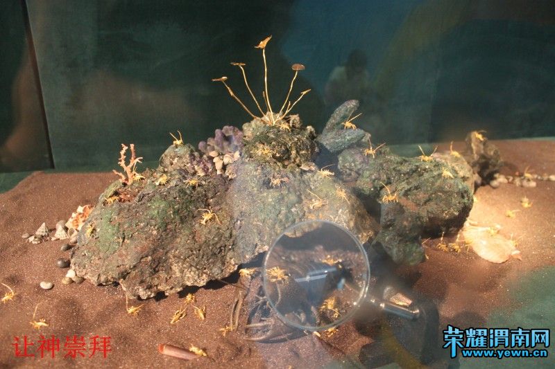 conew_��Ƭ 252.jpg
