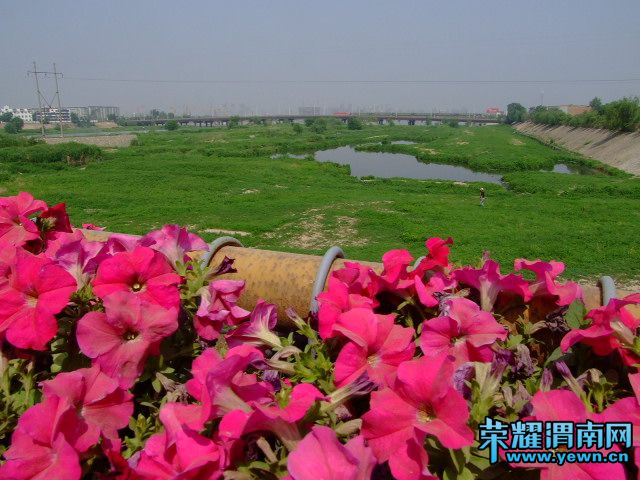DSCF2909.JPG