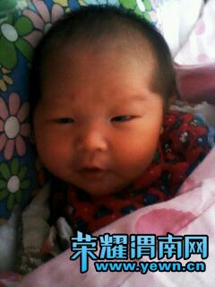 �h�h����