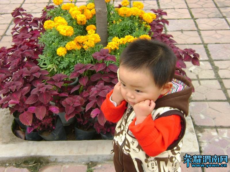 ������С DSC01989.JPG