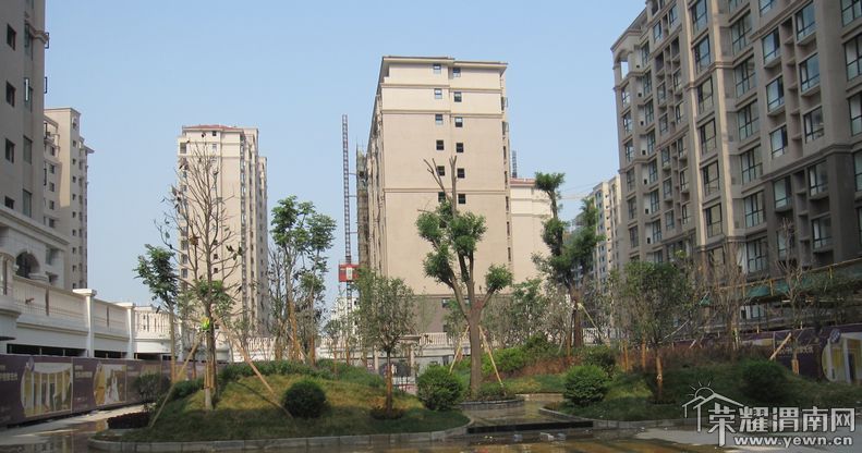 ��������ľ���