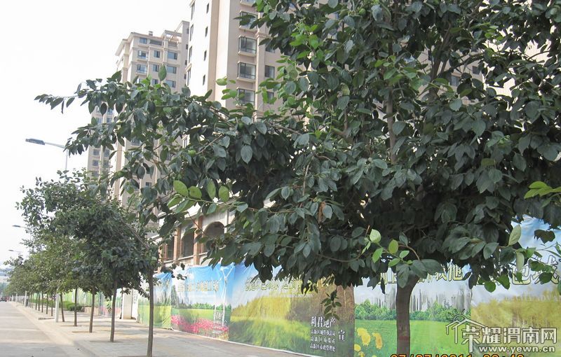 ��ʵ���۵�������