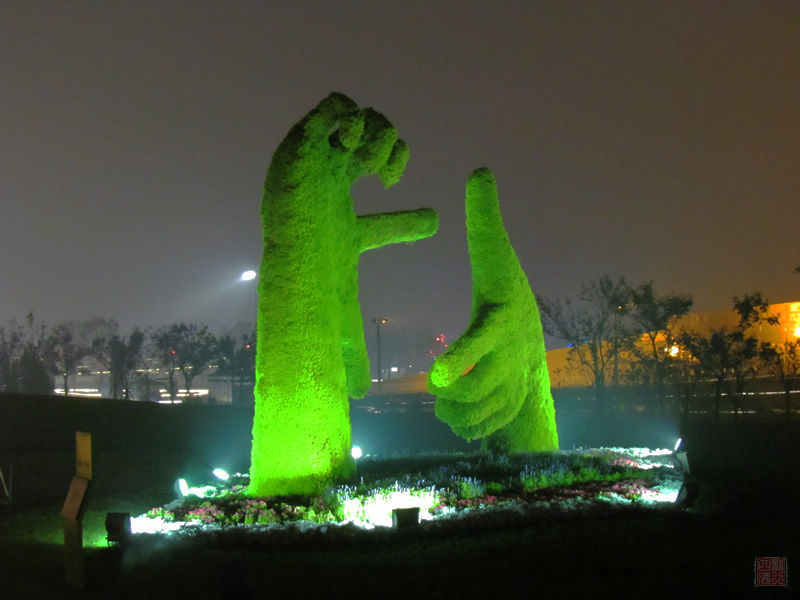 19.jpg