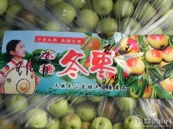 psu7.jpg
