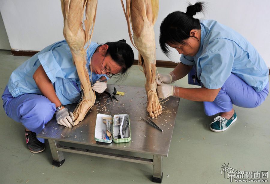 China_12.jpg