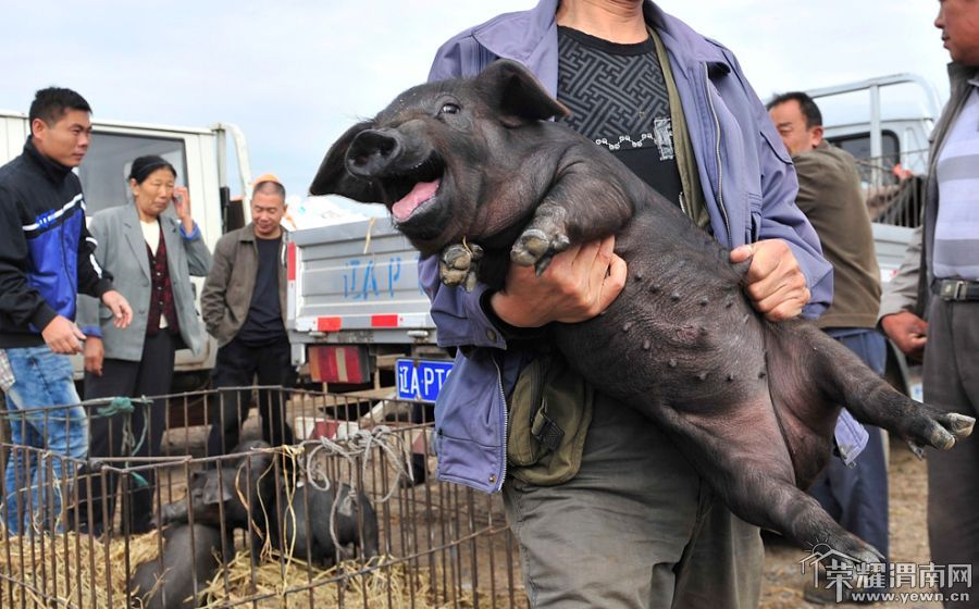 China_26.jpg