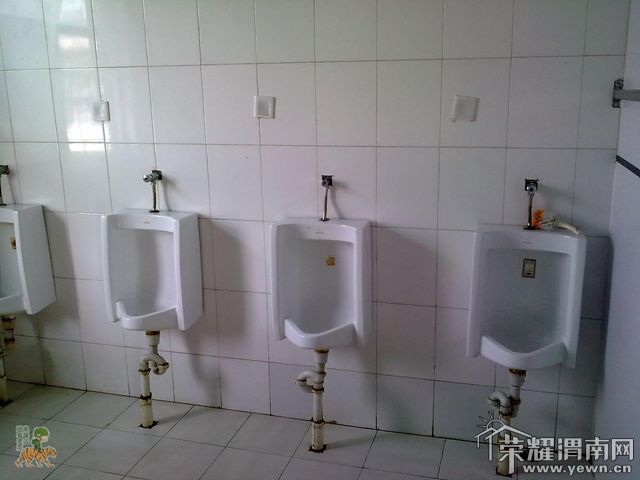 ͼ��0548.jpg