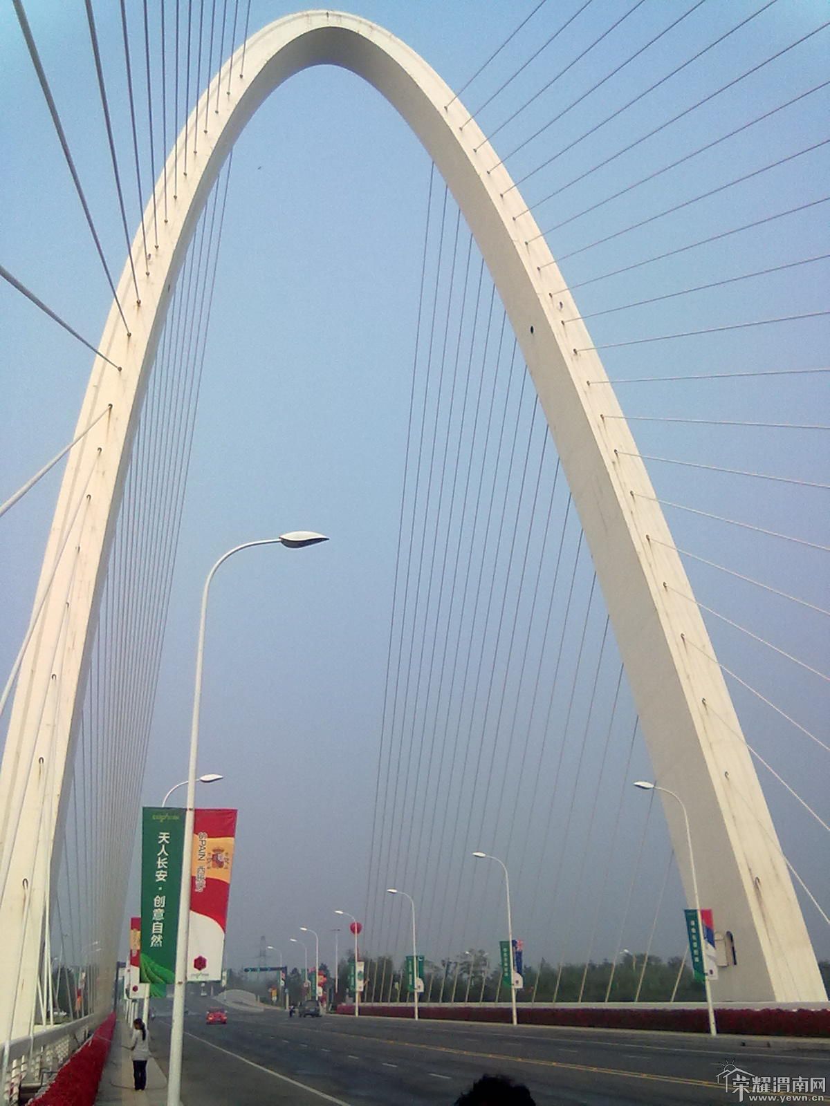 20111008384.jpg