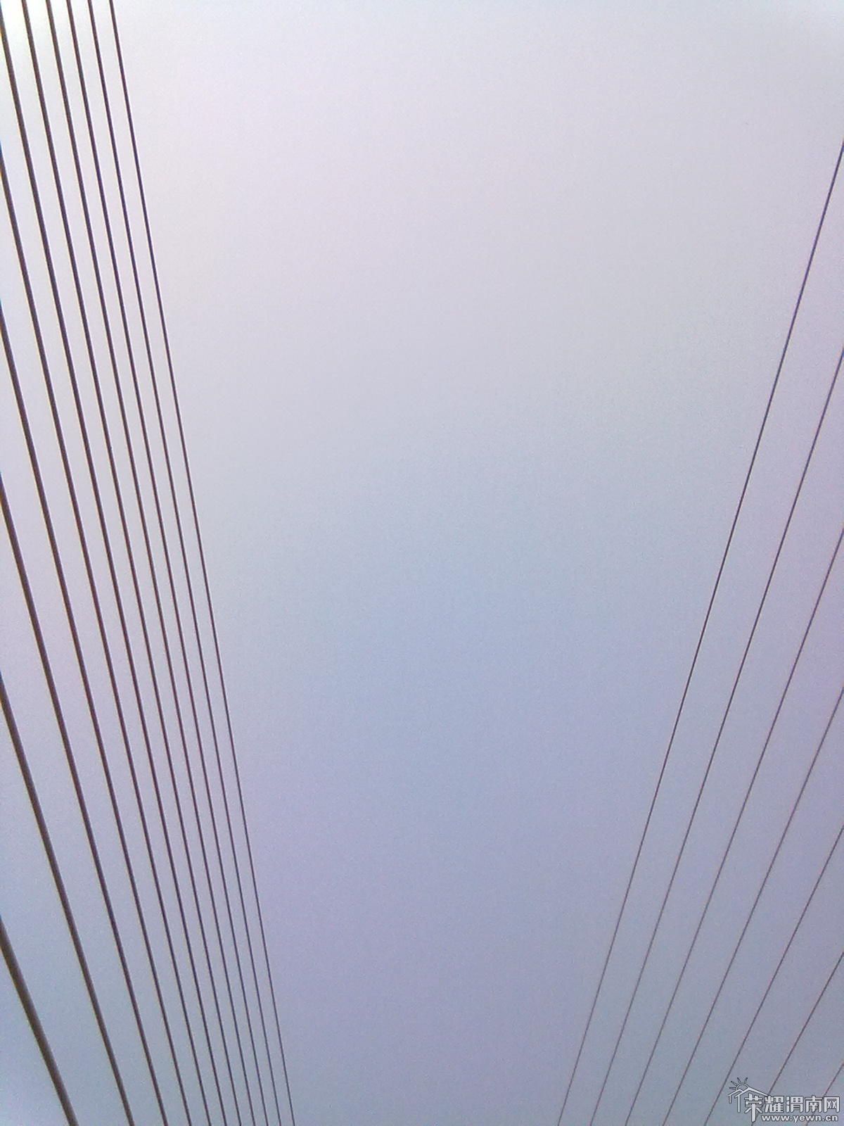 20111008385.jpg