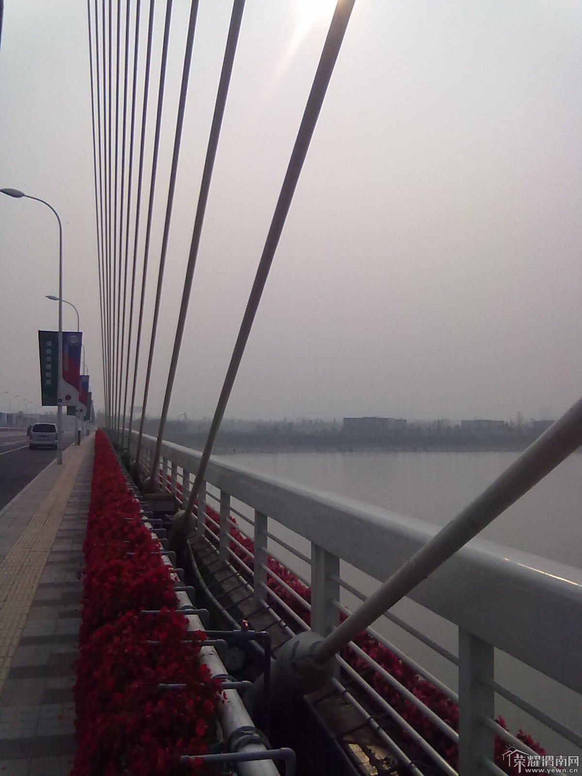 20111008386.jpg