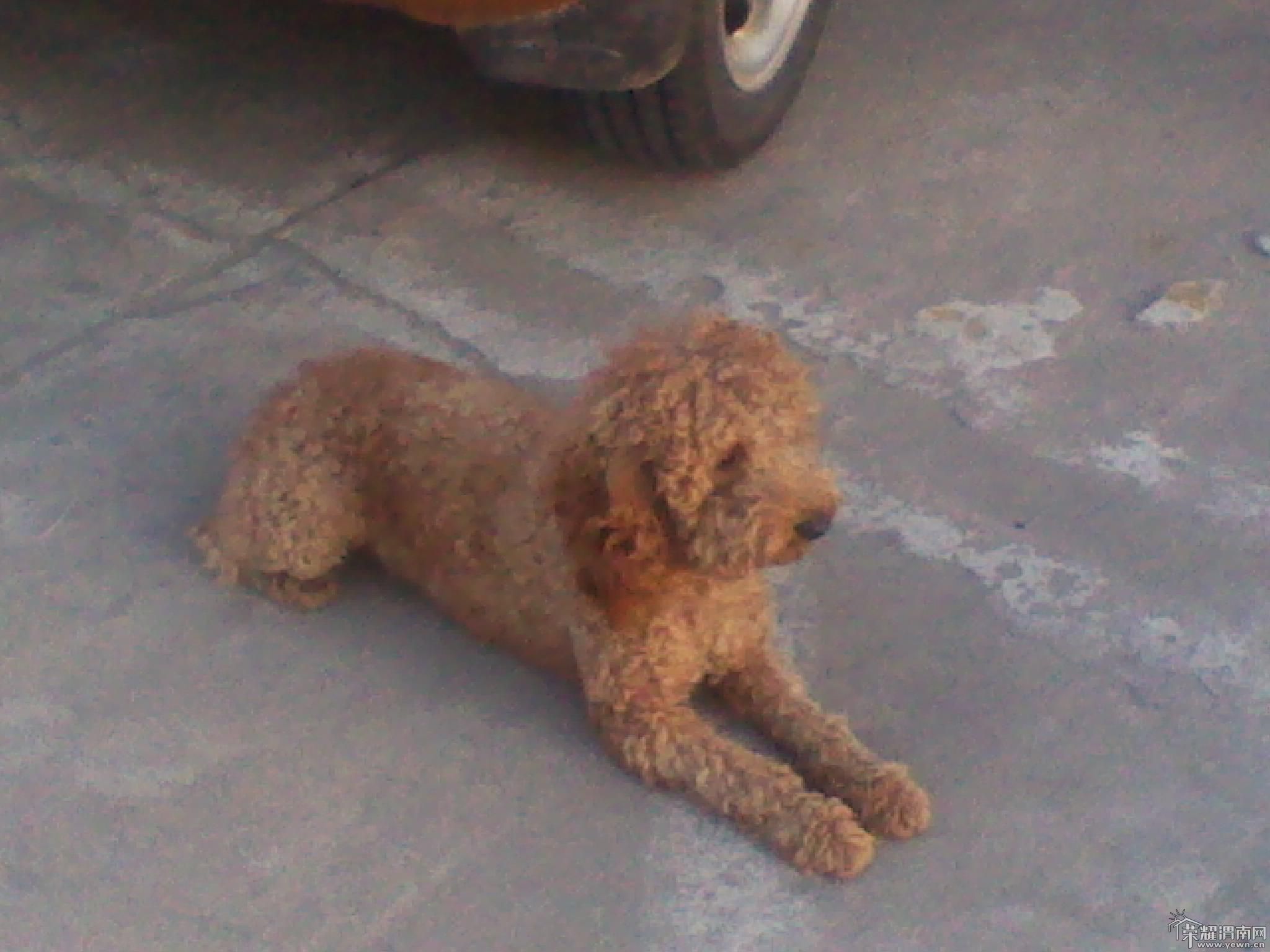 2011-10-13 17.49.21.jpg