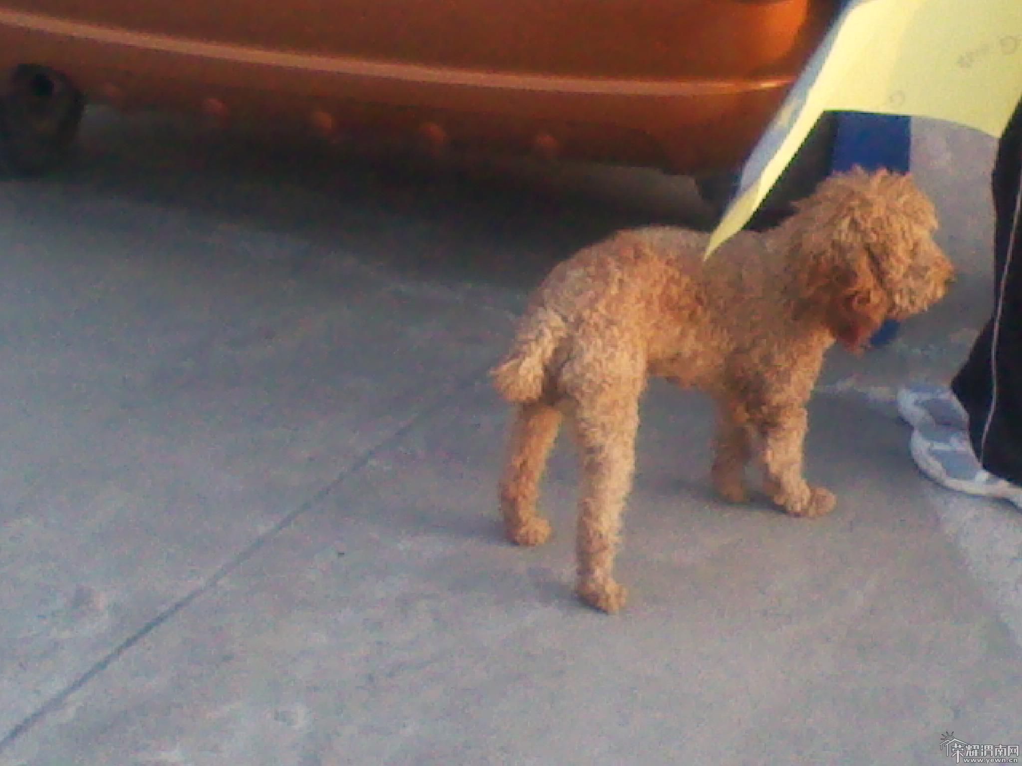 2011-10-13 17.48.57.jpg