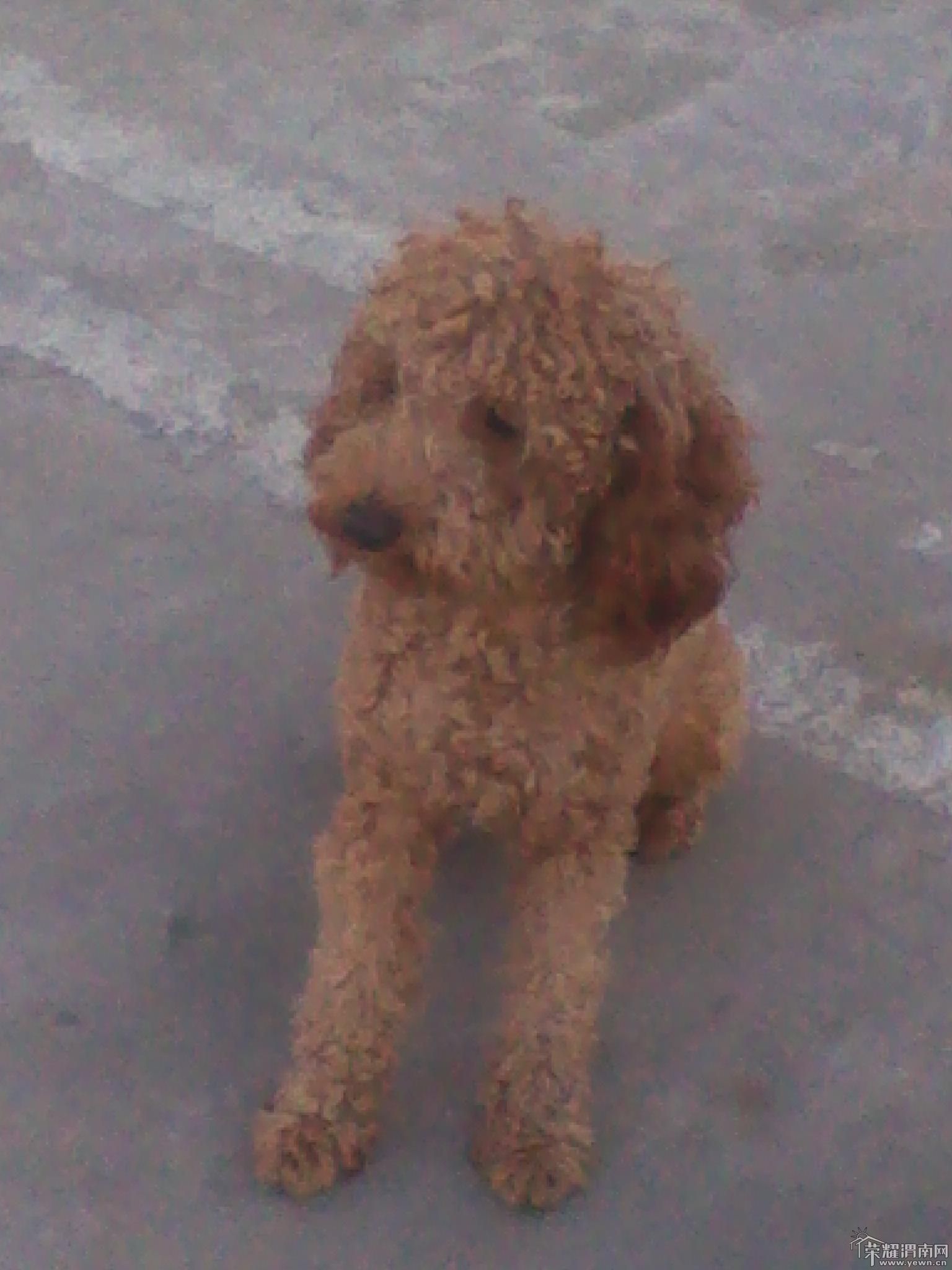 2011-10-13 17.51.00.jpg