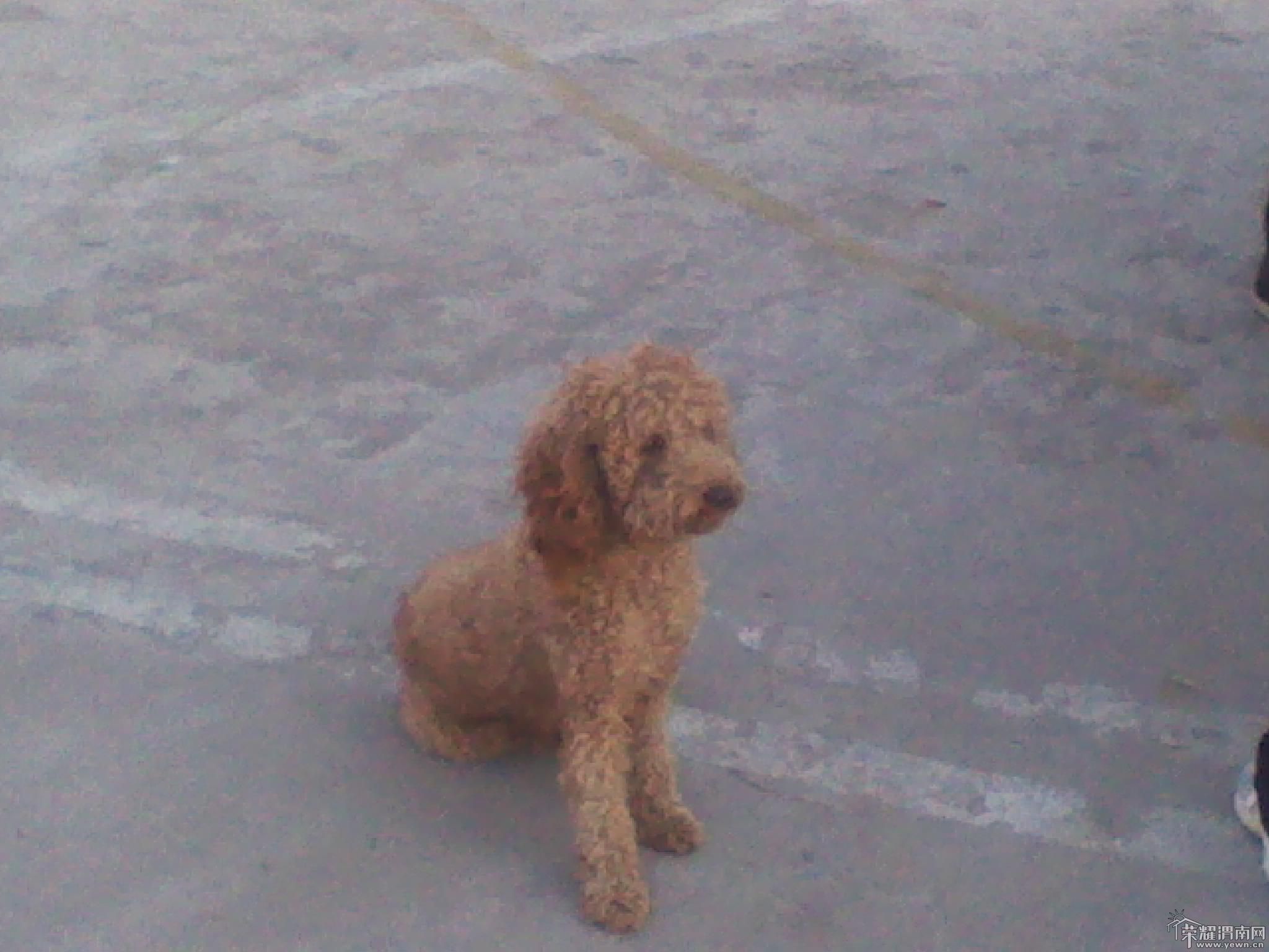 2011-10-13 17.50.02.jpg