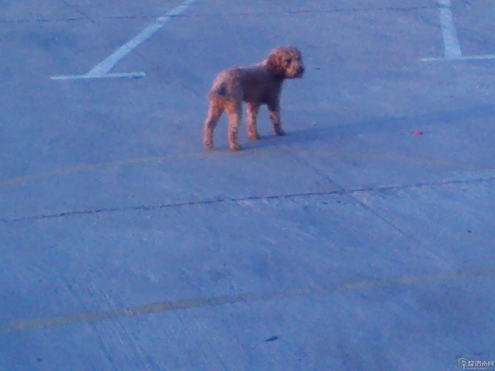 2011-10-13 17.49.29.jpg