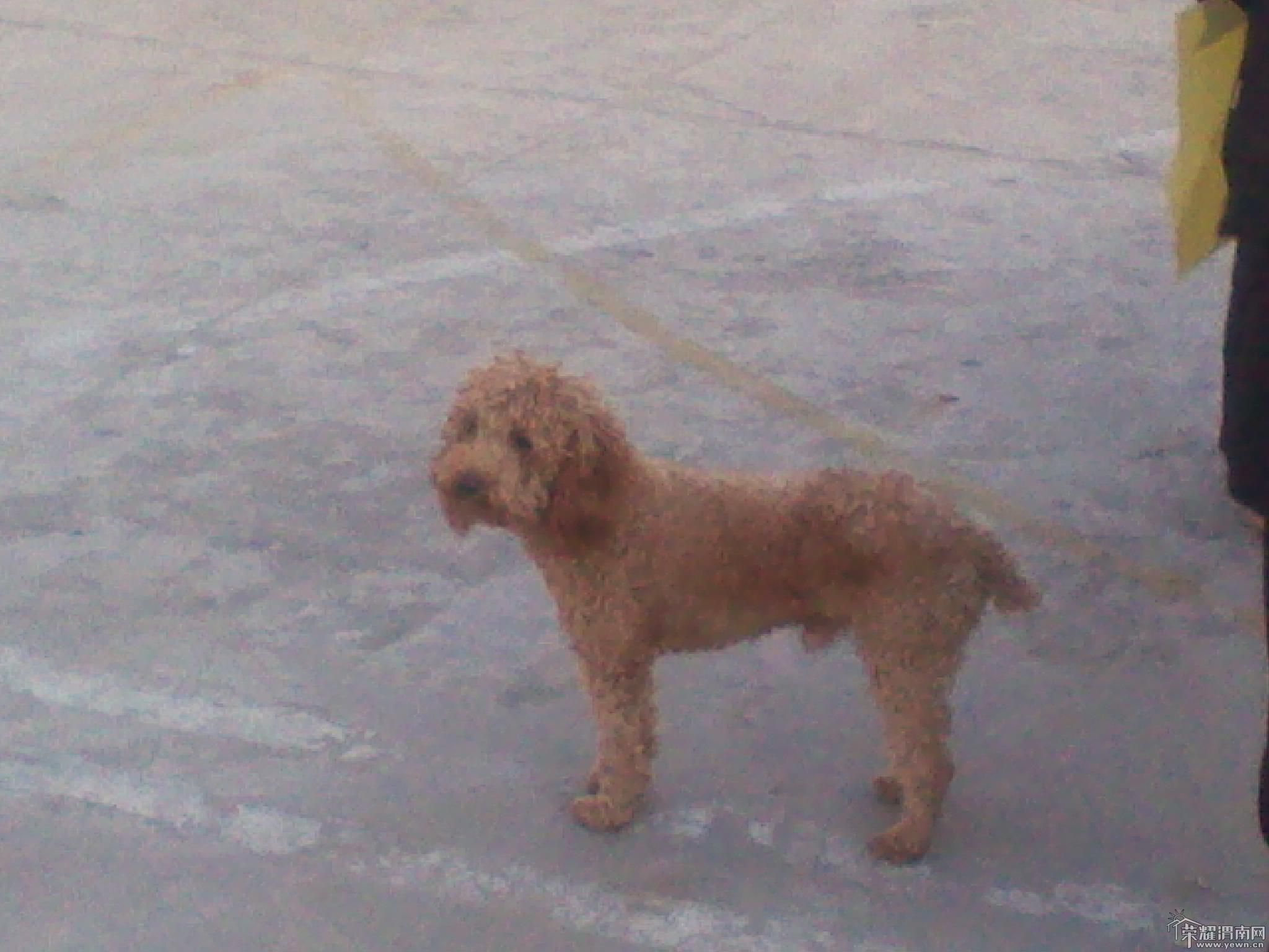 2011-10-13 17.49.55.jpg