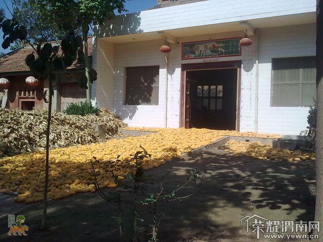 ͼ��0611.jpg