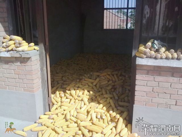 ͼ��0618.jpg